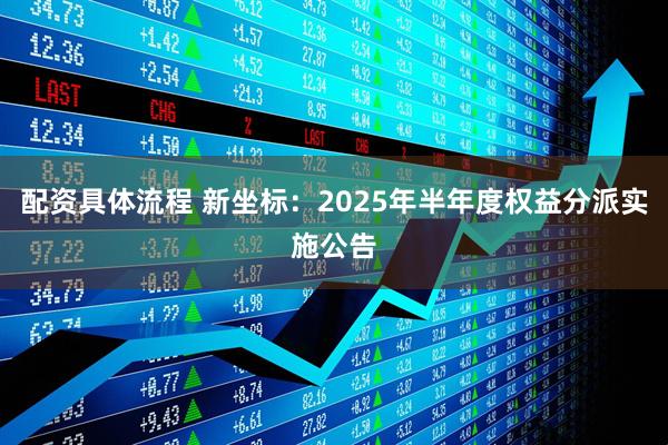配资具体流程 新坐标：2025年半年度权益分派实施公告